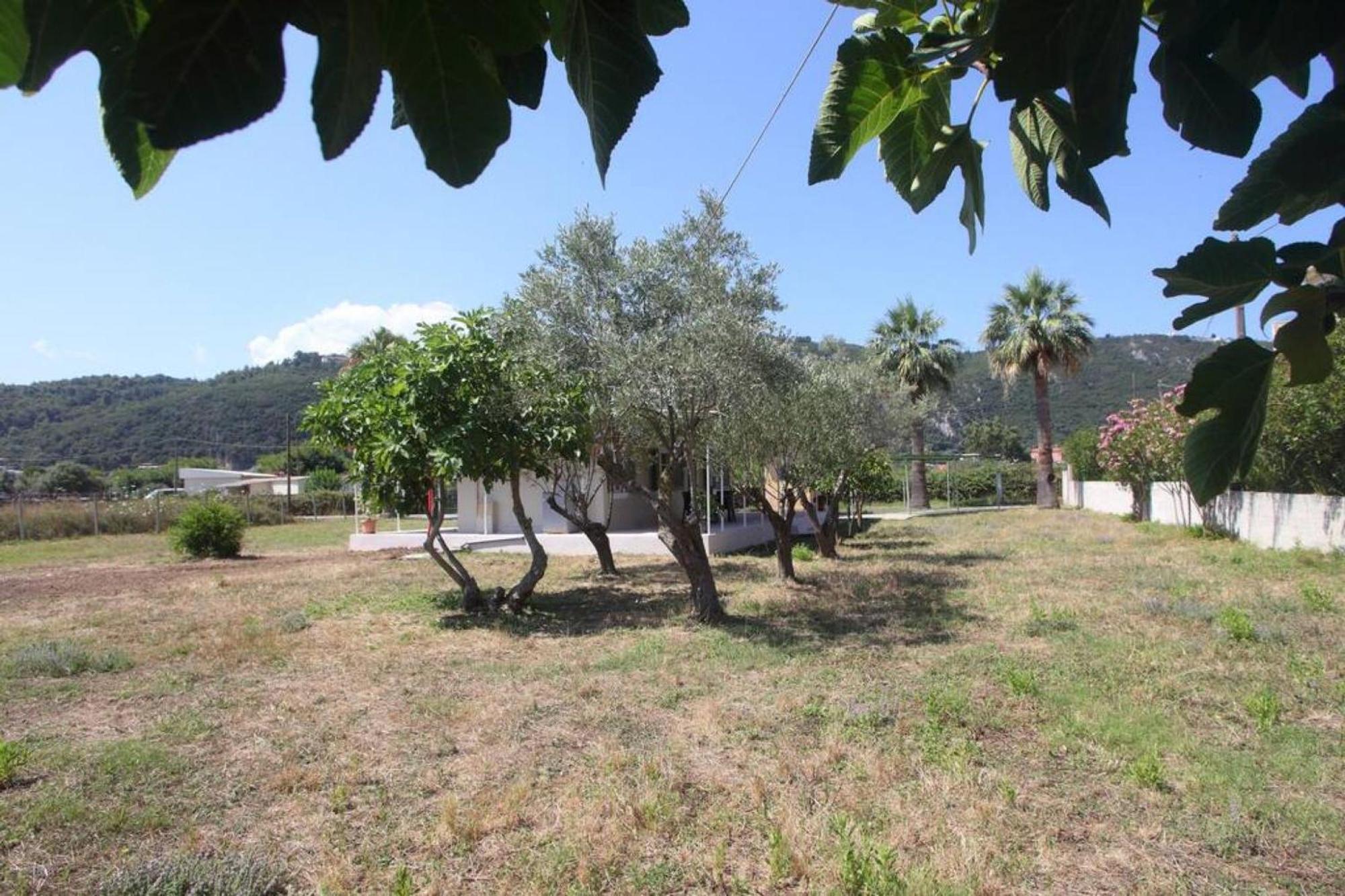 Olga Home Agios Ioannis Lefkada - Lefkada Bnb Exteriör bild
